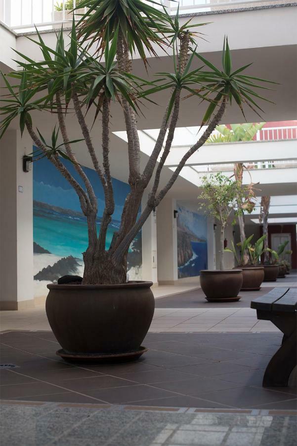 Cotillo Sea Home מראה חיצוני תמונה
